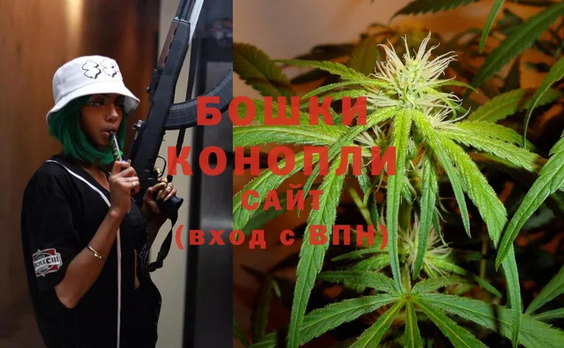 купить наркотики цена  Электрогорск  МАРИХУАНА White Widow 